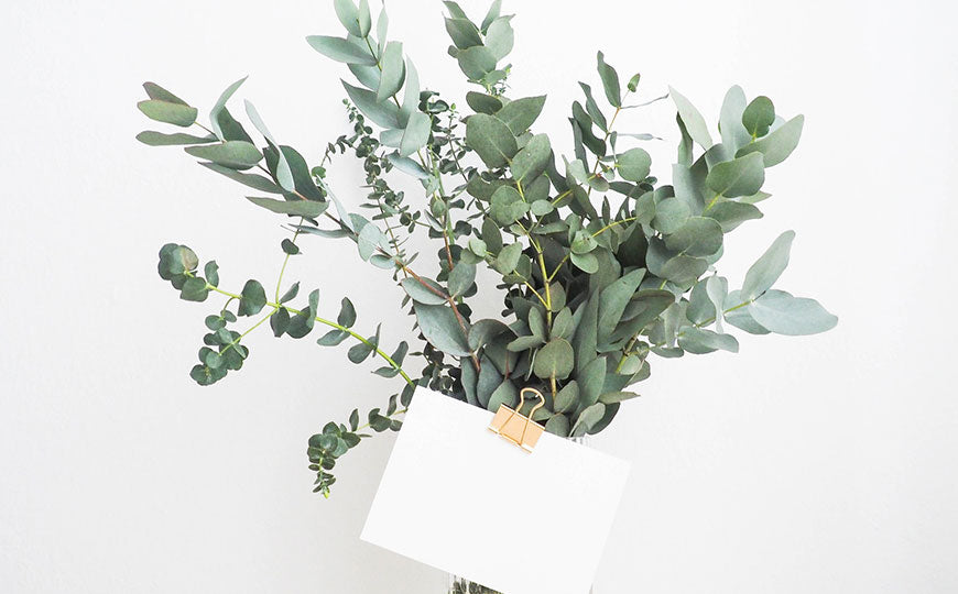 The Standard Chunk Of Lorem Ipsum Used Since