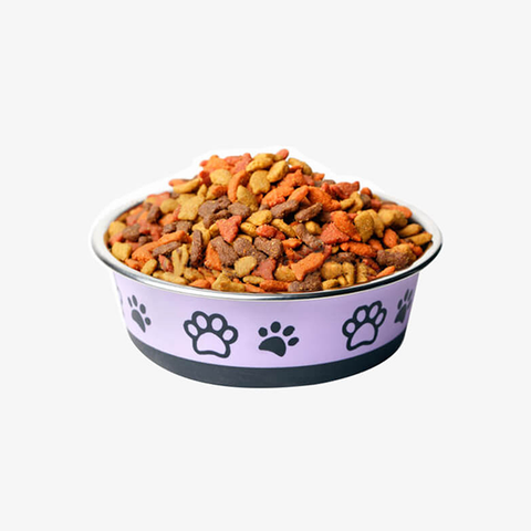 Product dummy title Pet Food